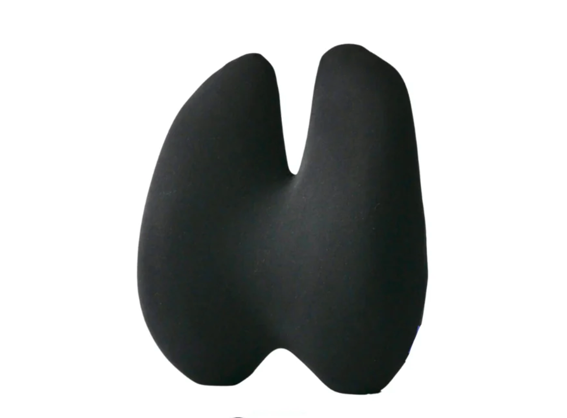 Lumbar Cushion